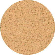 454