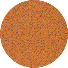 554