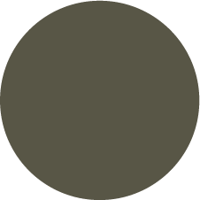 Alga 222