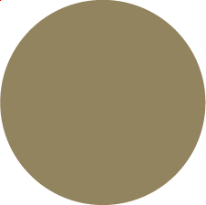 Agave 243