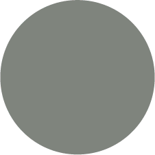 Salvia 835